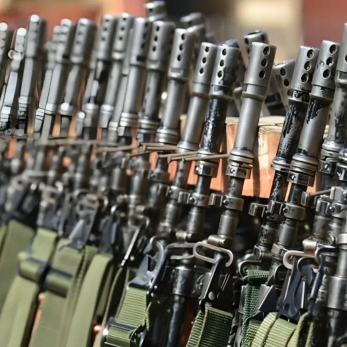 Firearm Identification & Registration